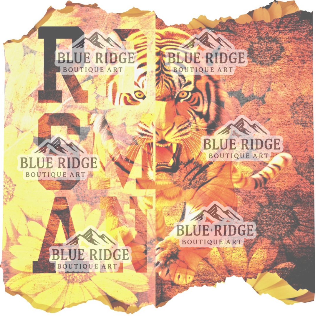 Sunflowers & Sidelines | Rosman Tigers Game Day Tee